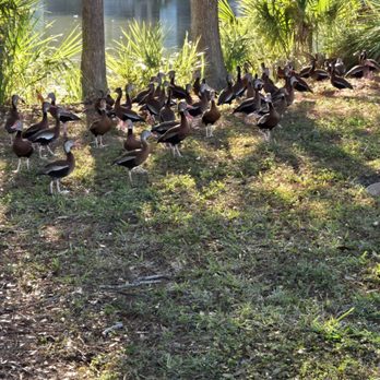 Payne Park - Parks Near Me - Sarasota, Florida Payne Park - Parks Near Me - Sarasota, Florida