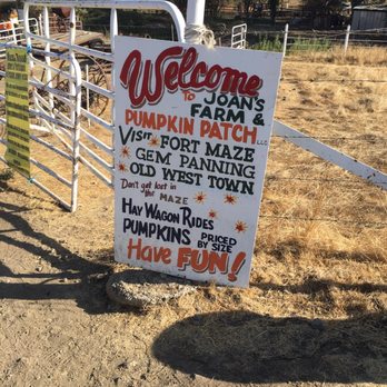 Joan's Farm & Pumpkin Patch - Pumpkin Patches Near Me - Livermore, California