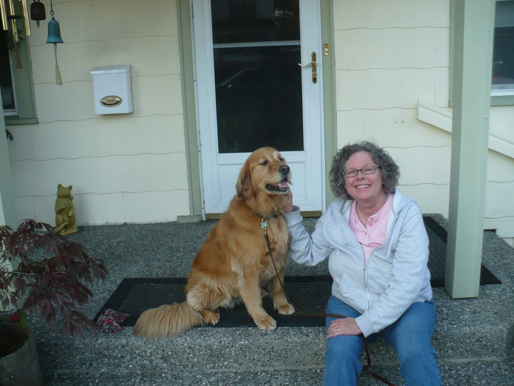 Pet Pals Image