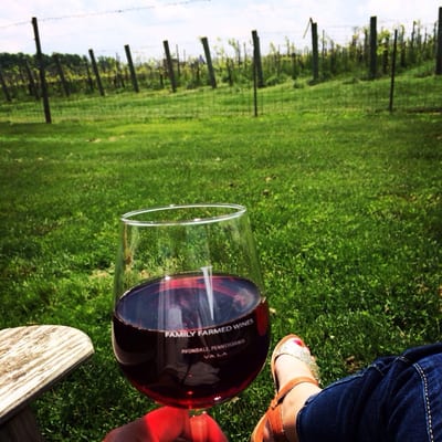 Va La Vineyards by null