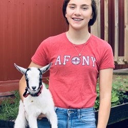 Ruby Hill Farm - Lil Lady and Emily just going for a stroll.