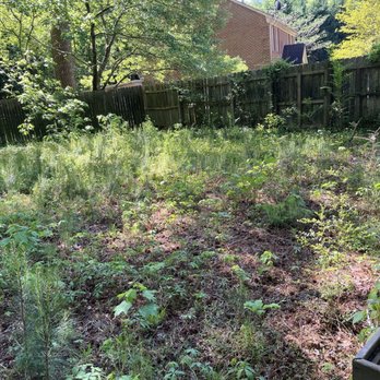 Jtm Cozy Lawn - Huge backyard. - Lawn Services Near Me Jtm Cozy Lawn - Huge backyard. - Lawn Services Near Me