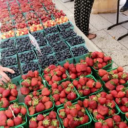 The Farmers Market at Harvard - Fresh fruit boot!