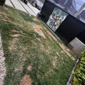 Smart Patio Plus - Front yard where all the materials were for weeks - Patio Coverings Near Me - Fountain Valley, California