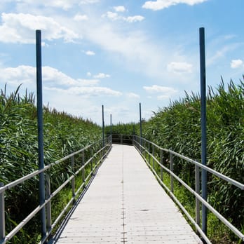 Richard W. DeKorte Park - The Marsh Discovery Trail is made up of floating platforms that run through the water. - Parks Near Me - Lyndhurst, New Jersey Richard W. DeKorte Park - The Marsh Discovery Trail is made up of floating platforms that run through the water. - Parks Near Me - Lyndhurst, New Jersey