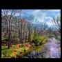 Photo of Talona Creek Campgrounds