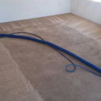 DNA Steemer Carpet Cleaning - Steam cleaner pretreatment - Carpet Cleaning Near Me - Phoenix, Arizona DNA Steemer Carpet Cleaning - Steam cleaner pretreatment - Carpet Cleaning Near Me - Phoenix, Arizona