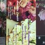 Photo of Flowers Remembered