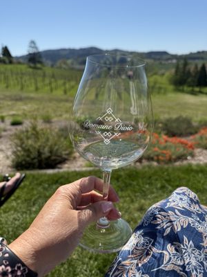 Domaine Divio by null