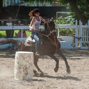 Stacey Turner Training Stables Riding School - My daughter playing on horse back - Horseback Riding Near Me - Norco, California Stacey Turner Training Stables Riding School - My daughter playing on horse back - Horseback Riding Near Me - Norco, California