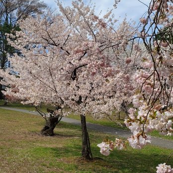 Branch Brook Park - Parks Near Me - Newark, New Jersey