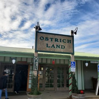 Ostrichland USA - Attraction Farms Near Me - Solvang, California Ostrichland USA - Attraction Farms Near Me - Solvang, California
