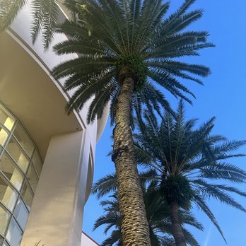 Rosen Centre Hotel - Pool area - Hotels Near Me - Orlando, Florida Rosen Centre Hotel - Pool area - Hotels Near Me - Orlando, Florida
