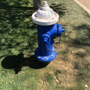 Camelback Ranch - Dodger blue hydrant - Stadiums & Arenas Near Me - Phoenix, Arizona