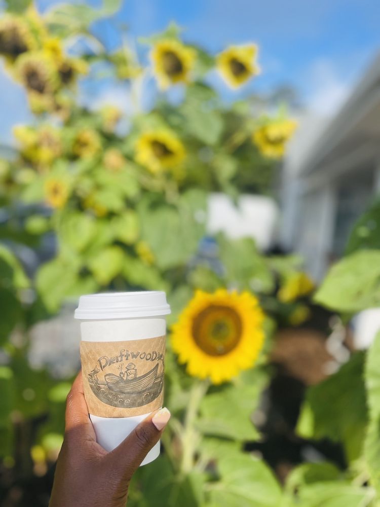 DRIFTWOOD COFFEE COMPANY Updated October 2024 32 Photos & 22