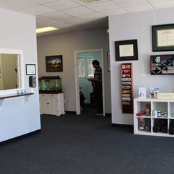 Crabbe Chiropractic
