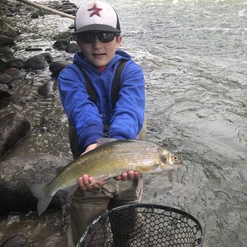 Wild Trout Outfitters - Fishing Near Me - Gallatin Gateway, Montana Wild Trout Outfitters - Fishing Near Me - Gallatin Gateway, Montana