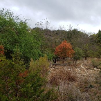 Mud Creek Park - Colors of Autumn - Parks Near Me - San Antonio, Texas Mud Creek Park - Colors of Autumn - Parks Near Me - San Antonio, Texas