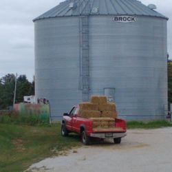 Wilfert Farms - Straw