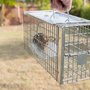 Photo of Bisaillon's Rid-All Pest Solutions