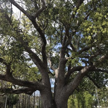 Reiter Park - Parks Near Me - Longwood, Florida