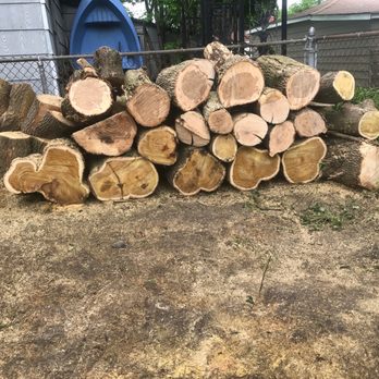County Tree Service - Update: Second crew came out two days later to cut the logs smaller. - Tree Services Near Me - Stickney, Illinois County Tree Service - Update: Second crew came out two days later to cut the logs smaller. - Tree Services Near Me - Stickney, Illinois