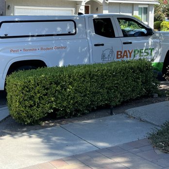 Bay Pest - Their vehicle - Pest Control Near Me - Pleasanton, California Bay Pest - Their vehicle - Pest Control Near Me - Pleasanton, California