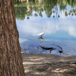Fairmount Park - 07/28/2025