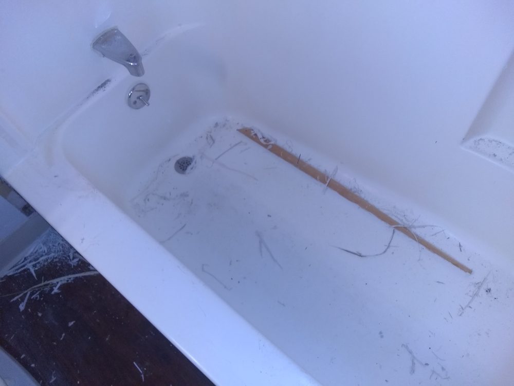 FOREST RIDGE APARTMENTS Updated September 2024 6003 Jaycox Rd