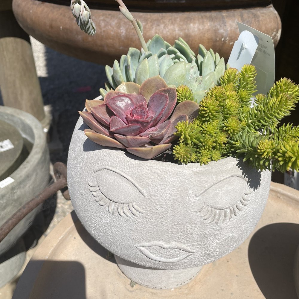 Seaside Gardens - Nurseries & Gardening Near Me - Carpinteria, California