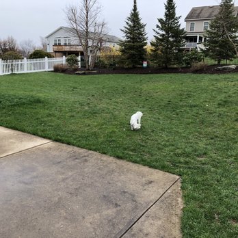 Better Yard Fencing - Fences & Gates Near Me Better Yard Fencing - Fences & Gates Near Me