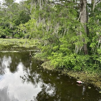 Lettuce Lake Park - Parks Near Me - Tampa, Florida Lettuce Lake Park - Parks Near Me - Tampa, Florida