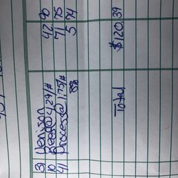 Eddie's Meat Market - Bill for processing.  Good stuff!