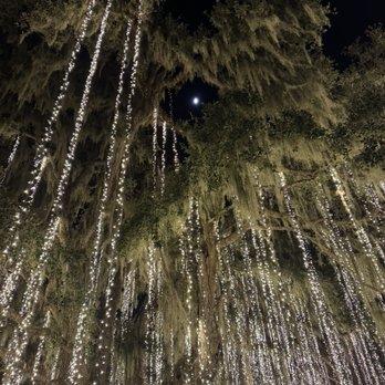 Brookgreen Gardens - Museums Near Me - Murrells Inlet, South Carolina