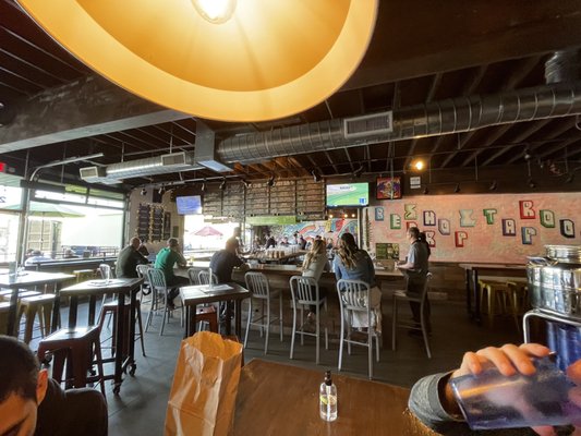 The Wandering Tortoise by null