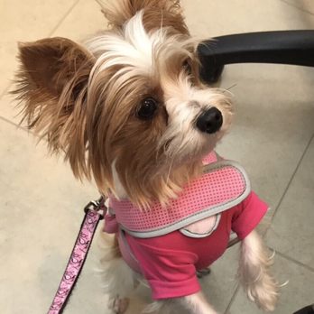 La Bone Pet Spa - Pet Stores Near Me - Cooper City, Florida La Bone Pet Spa - Pet Stores Near Me - Cooper City, Florida
