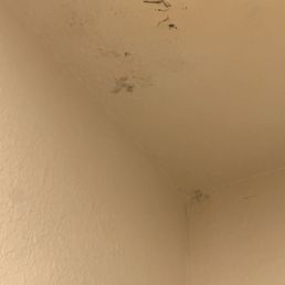 Black mold and peeling paint. Black mold and peeling paint.