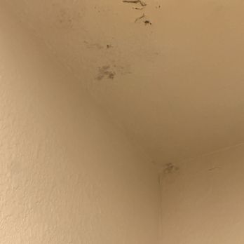 Quality Inn & Suites Minden - Black mold and peeling paint. - Hotels Near Me - Minden, Nevada Quality Inn & Suites Minden - Black mold and peeling paint. - Hotels Near Me - Minden, Nevada