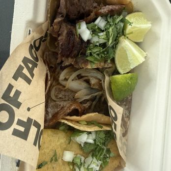 The Wolf Of Tacos - Tacos Near Me - Miami, Florida The Wolf Of Tacos - Tacos Near Me - Miami, Florida