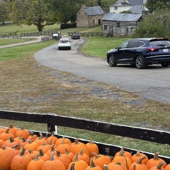 Stribling Orchard - Beautiful scenery - Fruits & Veggies Near Me - Markham, Virginia