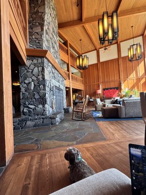 Skamania Lodge by null