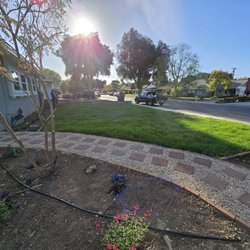 Vicente Gardening Service - After 6 weeks