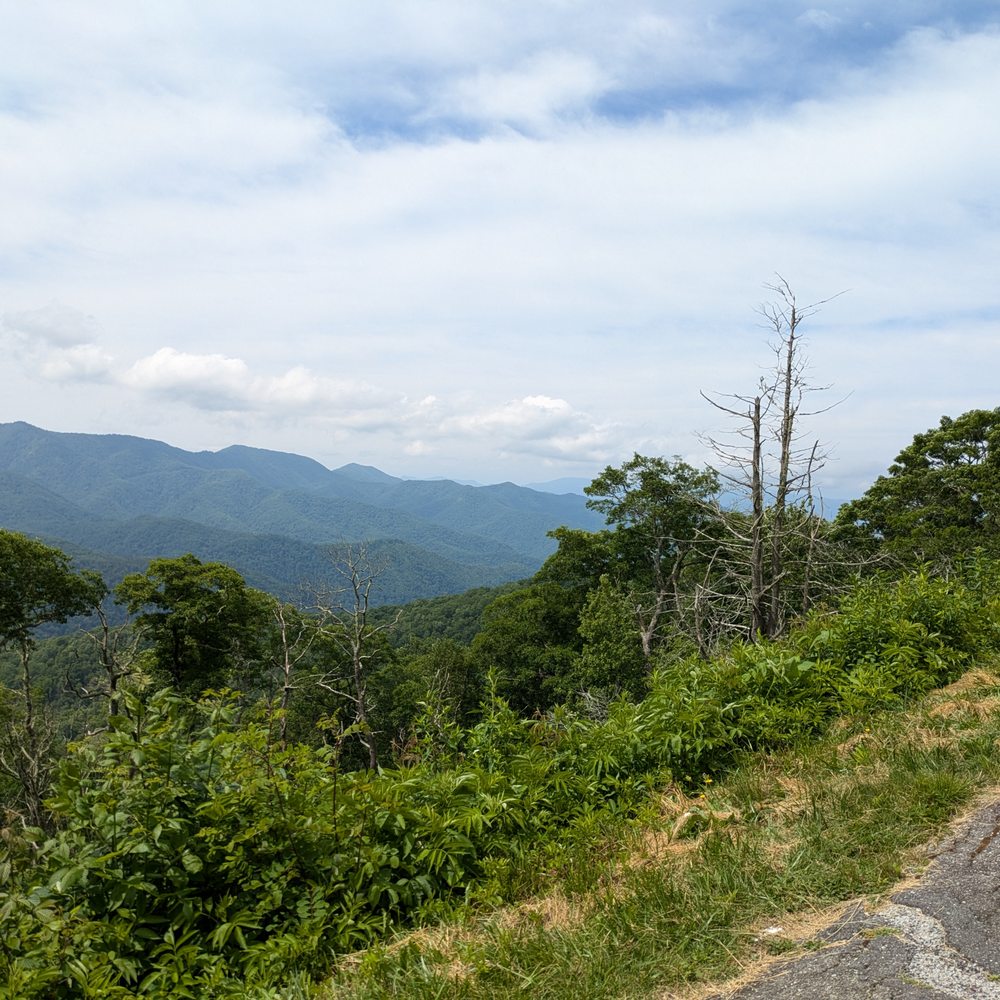 Plott Balsam Overlook - Plott Balsam Overlook, Blue Ridge Parkway, Maggie Valley NC - Parks Near Me - Maggie Valley, North Carolina Plott Balsam Overlook - Plott Balsam Overlook, Blue Ridge Parkway, Maggie Valley NC - Parks Near Me - Maggie Valley, North Carolina