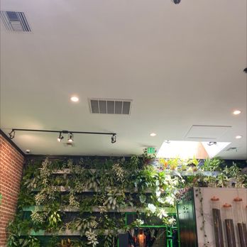 Tellus Coffee - Cute decor. Havana meets Casablanca - Coffee Roasteries Near Me - Walnut Creek, California