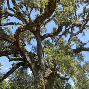 Airlie Gardens - Venues & Event Spaces Near Me - Wilmington, North Carolina Airlie Gardens - Venues & Event Spaces Near Me - Wilmington, North Carolina