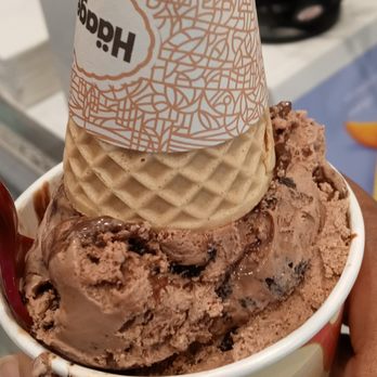 Häagen-Dazs - Midnight cookies & cream - Ice Cream & Frozen Yogurt Near Me - Dania Beach, Florida Häagen-Dazs - Midnight cookies & cream - Ice Cream & Frozen Yogurt Near Me - Dania Beach, Florida