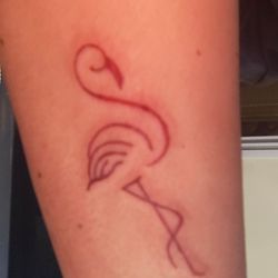 Más Mucho Tattoo & Skate - Flamingo!