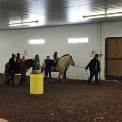 Courage Reins