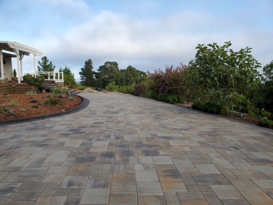 Driveway Transformation - Complete backyard and frontyard transformation!