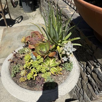 High Hand Cafe - New American Near Me - Loomis, California High Hand Cafe - New American Near Me - Loomis, California
